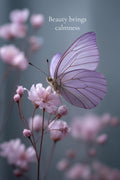 Beauty Brings Calmness – Butterfly Wall Art Printable